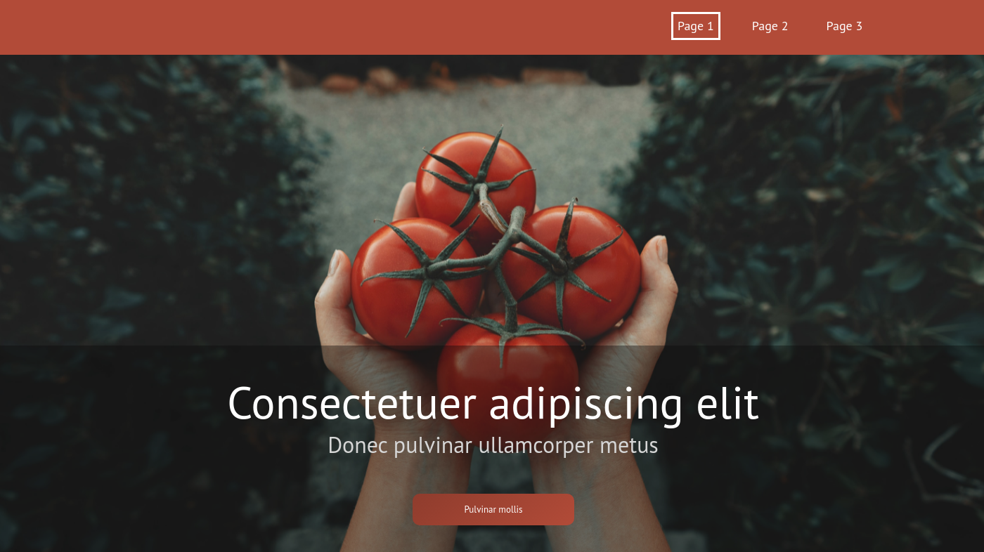 Theme for website creation of Tomato